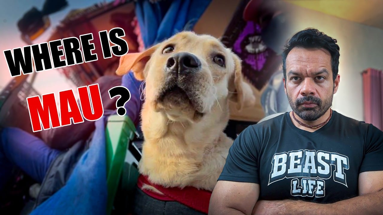 Where is Gaurav Taneja's Dog Mau